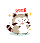 North American Raccoon（個別スタンプ：16）