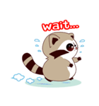 North American Raccoon（個別スタンプ：25）