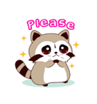 North American Raccoon（個別スタンプ：26）