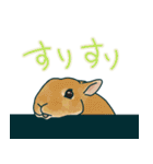 本能のままに生きる。（個別スタンプ：36）