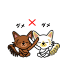 ロングコートチワワのウキキ＆キララ（個別スタンプ：3）