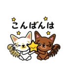 ロングコートチワワのウキキ＆キララ（個別スタンプ：19）