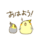 オカメインコのプリン＆ごまプリン（個別スタンプ：1）