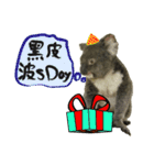 Koala's Daily talk (Chinese Version)（個別スタンプ：7）