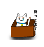 ねこのまゆげ（個別スタンプ：13）