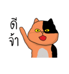 Meow Wat（個別スタンプ：24）