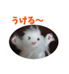 ねこのモコモコ（個別スタンプ：9）