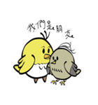 Chicks and partner life（個別スタンプ：17）