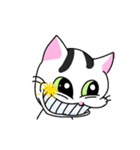 Funny cute useful cats animation sticker（個別スタンプ：6）