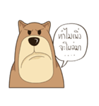 Bear or Dog（個別スタンプ：20）