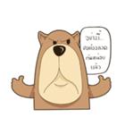 Bear or Dog（個別スタンプ：24）