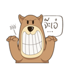 Bear or Dog（個別スタンプ：27）