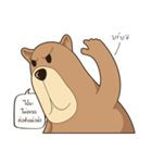 Bear or Dog（個別スタンプ：40）