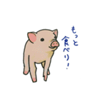 Kitakyusyu animals（個別スタンプ：17）