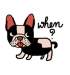 Ma Baa - The crazy dog II（個別スタンプ：1）