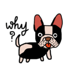 Ma Baa - The crazy dog II（個別スタンプ：3）