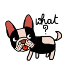 Ma Baa - The crazy dog II（個別スタンプ：4）