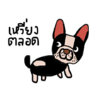 Ma Baa - The crazy dog II（個別スタンプ：5）