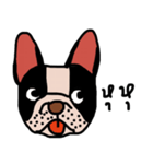 Ma Baa - The crazy dog II（個別スタンプ：7）