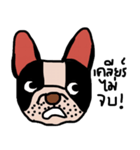 Ma Baa - The crazy dog II（個別スタンプ：10）