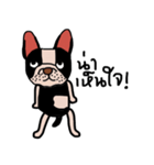 Ma Baa - The crazy dog II（個別スタンプ：12）