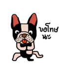 Ma Baa - The crazy dog II（個別スタンプ：13）