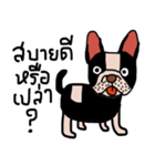 Ma Baa - The crazy dog II（個別スタンプ：14）