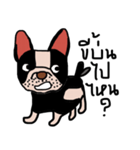 Ma Baa - The crazy dog II（個別スタンプ：16）