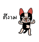 Ma Baa - The crazy dog II（個別スタンプ：17）