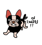 Ma Baa - The crazy dog II（個別スタンプ：18）