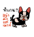 Ma Baa - The crazy dog II（個別スタンプ：19）