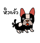 Ma Baa - The crazy dog II（個別スタンプ：21）