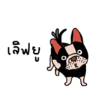 Ma Baa - The crazy dog II（個別スタンプ：26）