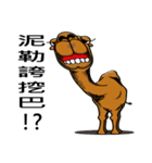 Race camel no.1（個別スタンプ：4）