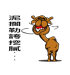 Race camel no.1（個別スタンプ：6）