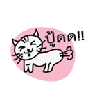 Pong - Most handsome cat in the world（個別スタンプ：21）