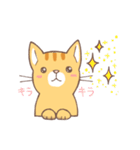 ねこくん（トラ柄）（個別スタンプ：1）