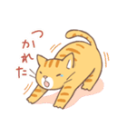 ねこくん（トラ柄）（個別スタンプ：7）