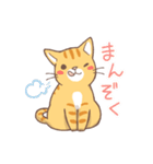 ねこくん（トラ柄）（個別スタンプ：16）