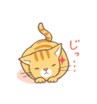 ねこくん（トラ柄）（個別スタンプ：17）