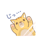 ねこくん（トラ柄）（個別スタンプ：19）