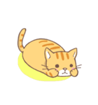 ねこくん（トラ柄）（個別スタンプ：34）