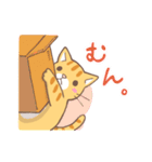 ねこくん（トラ柄）（個別スタンプ：37）