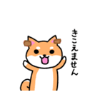 柴犬さんのふつうなスタンプ（個別スタンプ：37）