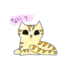 そらねこ（個別スタンプ：17）