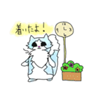 そらねこ（個別スタンプ：35）