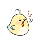 ChirpChirp（個別スタンプ：36）