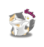 Fufufluf Cattery（個別スタンプ：10）