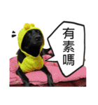 Happy Dogs Club:Real（個別スタンプ：9）