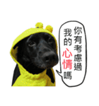 Happy Dogs Club:Real（個別スタンプ：11）